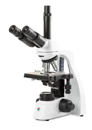 Covetrus Microscopio BSCOPE (BS.1153-EPLi-C) de investigación y laboratorio